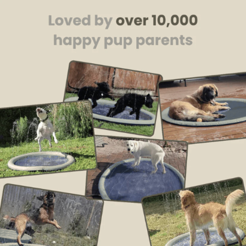 Theia™ Sprinkler Pad